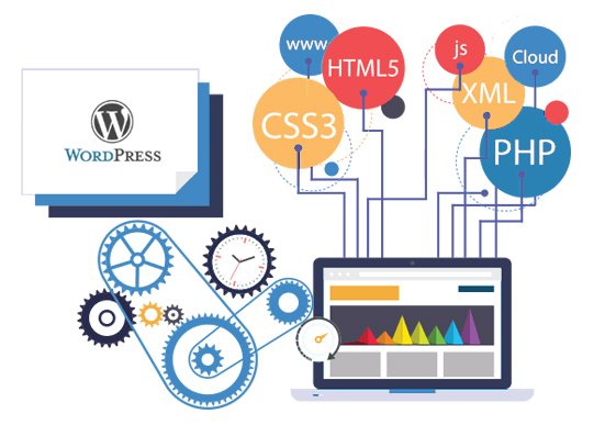 Website Design